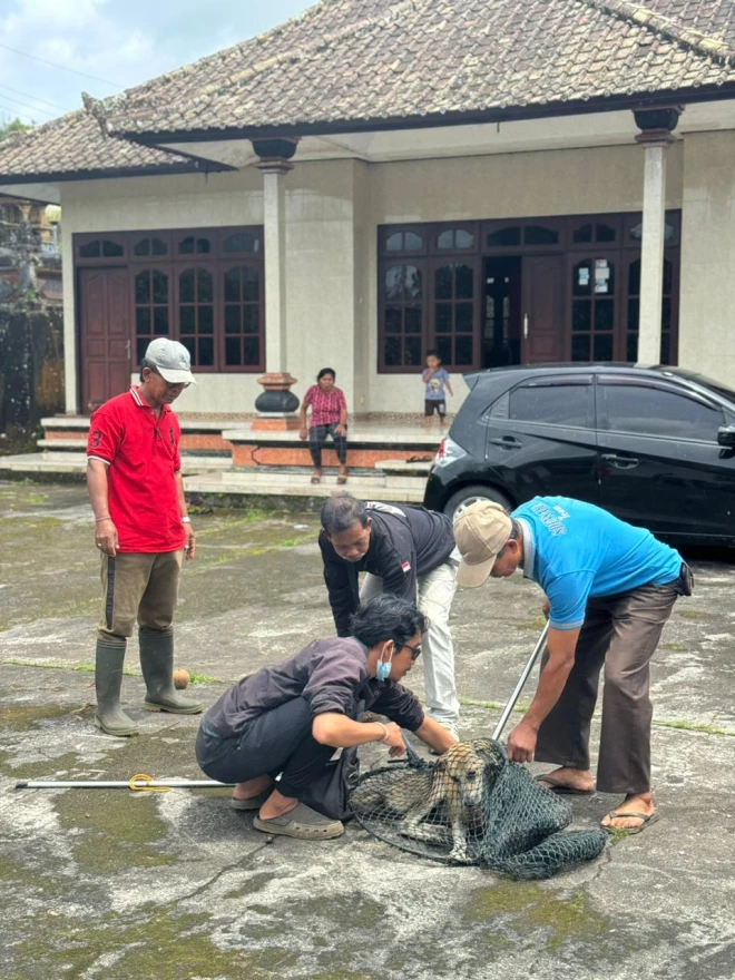 Tindak Lanjut Kasus Gigitan Anjing Rabies di Desa Munduktemu